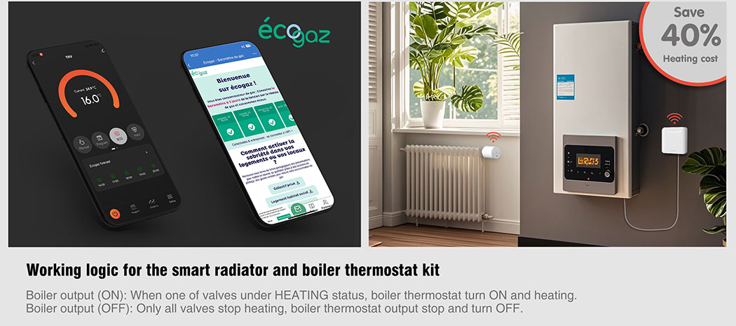 TRV thermostatic radiator kit