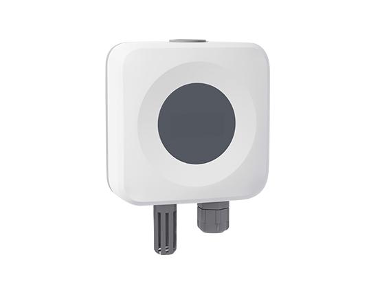 Digitaler Flüssigkeitstemperaturtransmitter